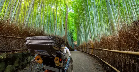 Japan Land Of The Rising Sun Ljapn