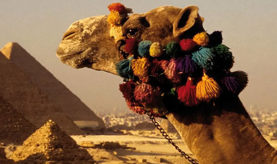 tour Egypt for holiday