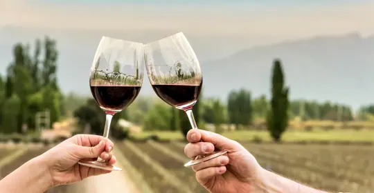 Hobbies Winetasting