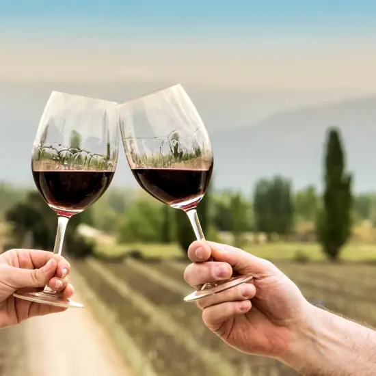 Hobbies Winetasting
