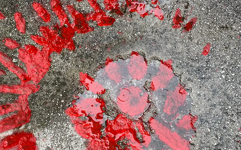 sarajevo rose