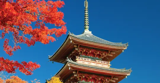 Japan Pod