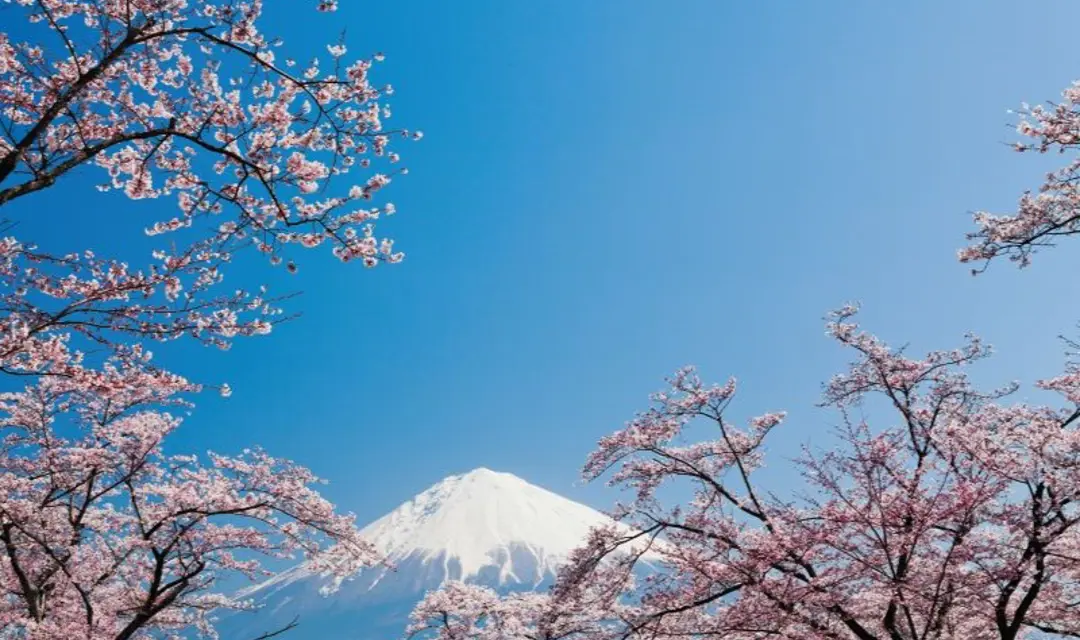 Adventures In Far East RF Istock Mt Fuji Japan 000034096216 800X500